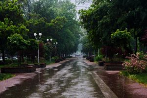 У Запоріжжі наступний тиждень буде прохолодним, похмурим та вологим