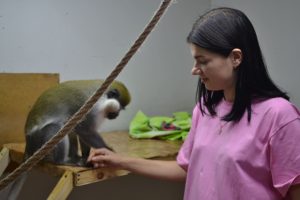 Єнот Шустрик, мавпа Вітя й екзотичні тварини: як зоопарк у Запоріжжі перетворився на реабілітаційний центр (ІНТЕРВ’Ю)