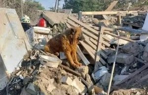 “Жила-была семья”: Філатов розповів жахливі подробиці знищення будинку з дітьми у Дніпрі