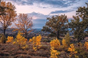 Осінній шарм: добірка фотошедеврів Запоріжжя минулого тижня