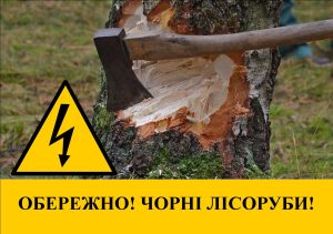 На Запоріжжі виявлено незакону вирубку лісу (ФОТО)