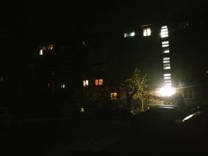 У Запоріжжі домогосподарство нехтує рекомендаціями Старуха (ФОТО)