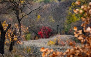 Метеорологи предоставили прогноз погоды в Запорожье на выходные