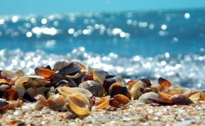 Отдых в Украине 2023: ТОП-10 курортов Одесской и Николаевской областей, о которых мало кто знает