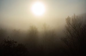 У Запоріжжі сильний туман тримався з вечора до ранку (ФОТО)