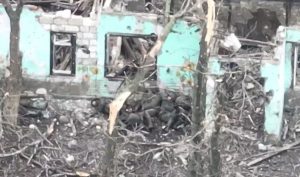 Почему зима убьет 100 000 российских солдат, – эксперт Томас Тейнер