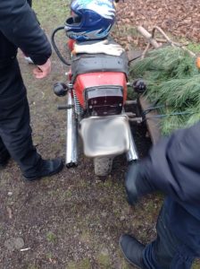 Перевозив незаконно зрубані сосни: на Запоріжжі виявили порушника
