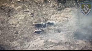 Три в одному: як FPV дрони-камікадзе знищують росіян на фронті (ВІДЕО)