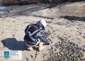 На Запоріжжі прокуратура встановлює завдані рибному господарству збитки через дії окупантів (ФОТО)