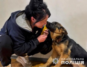 У Запоріжжі у жінки викрали собаку під час прогулянки (ФОТО)