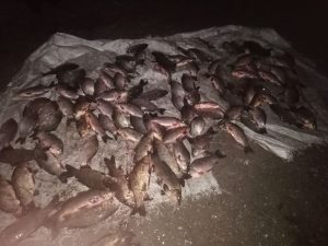 На акваторії Каховського водосховища рибалки-правопорушники спричинили збитків на понад 300 тис. грн