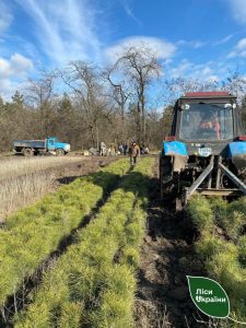 Із Запорізької області провели першу цьогорічну евакуацію садженців в Україні (ФОТО)