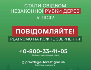Запоріжців закликають повідомляти про незаконні рубки