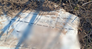 На околиці Запоріжжя журналіст виявив залишки російської ракети (ФОТО)