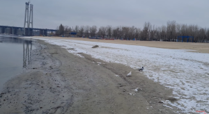 “Советское золото”: кладоискатель из Запорожья показал находки с берега Днепра (ВИДЕО)