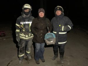 У Запоріжжі працівники ДСНС дістали з-під завалів 3-х котів: ВІДЕО порятунку