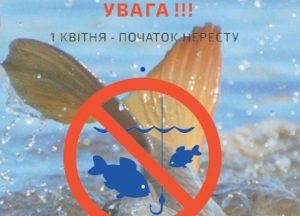 З початку квітня на внутрішніх водоймах Запорізької області стартувала весняно-літня нерестова заборона (ДОКУМЕНТ)