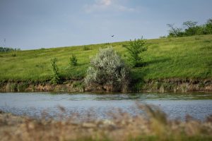 Постійна мінливість: якою буде погода влітку в Україні