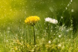 Скільки вихідних буде в Україні у травні: перелік свят