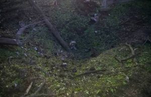 Офіційно про нічну атаку РФ на Запоріжжя (ФОТО)