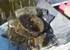 У Запоріжжі ГО під виглядом військових блокує діяльність держрибагентства на верхньому б’єфі Дніпра , – заява (ВІДЕО)