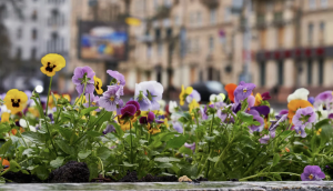 Укргідрометцентр розказав, яка погода чекає на українців у травні