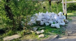 У Запоріжжі держекоінспектори виявили стихійні звалища в трьох районах міста (ФОТО)