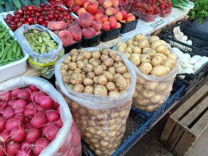 Сколько стоит молодой картофель на рынках Запорожья: цены и фото