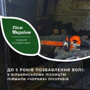 У Запорізькій області впіймали “чорних” лісорубів