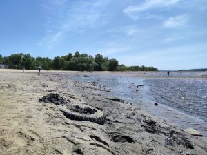 Названо найбільш песимістичні сценарії для водойм Запоріжжя після руйнування Каховської ГЕС (ФОТО, ВІДЕО)