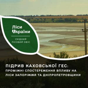 Як впливає підрив Каховської ГЕС на ліси Запоріжжя