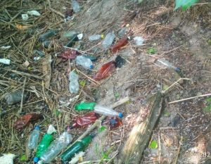 UAnimals шукає волонтерів, які готові долучитися до прибирання Хортиці в Запоріжжі