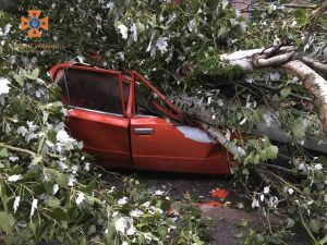 У Запоріжжі через негоду пошкоджено більше 10 автівок (ФОТО)