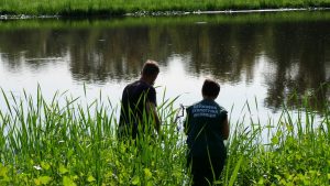 У Запоріжжі зафіксували замор риби й “цвітіння” води в заплавах Хортиці