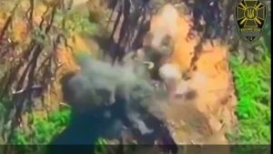 ЗСУ почали активно знищувати FPV-дронами техніку на Пологівському напрямку (ВІДЕО)