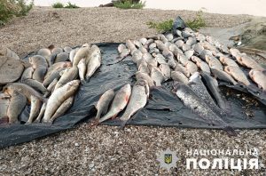 Під Запоріжжям браконьєрів упіймали на “гарячому” (ФОТО)