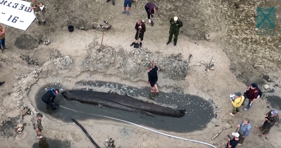 У Запоріжжі на узбережжі острова Хортиця знайдено старовинний човен (ВІДЕО)