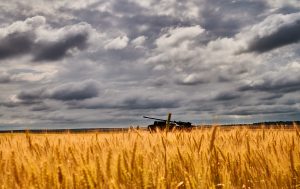 Генштаб повідомив про успіхи ЗСУ на Запоріжжі: хроніка війни на ранок 8 вересня