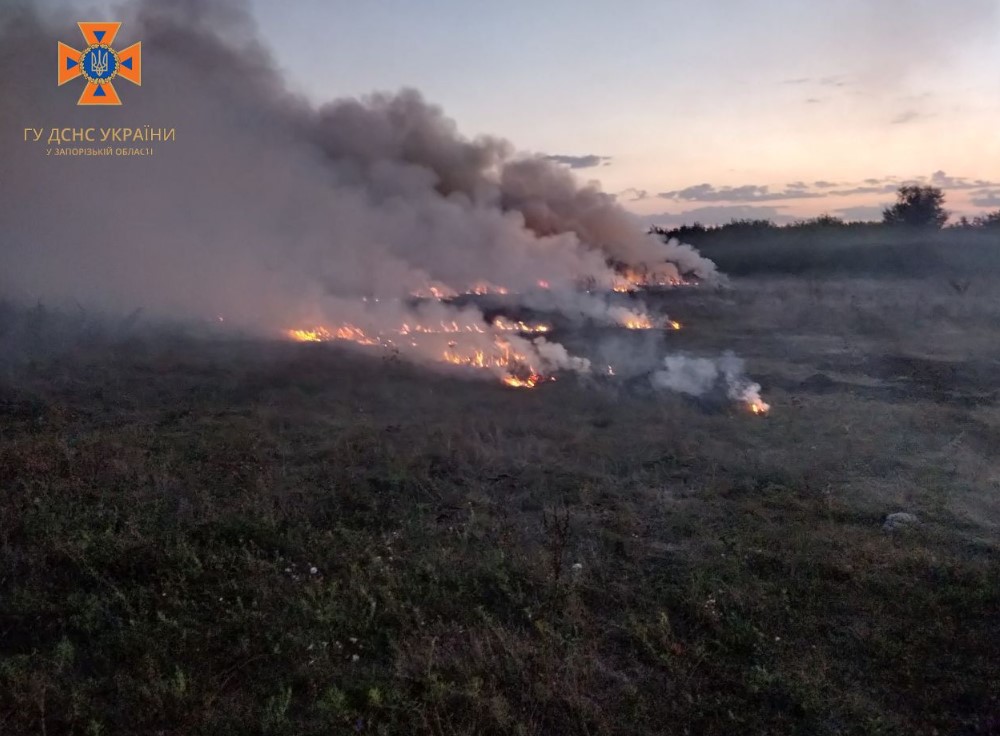 У Запоріжжі та області через пожежі постраждали екосистеми: фото наслідків