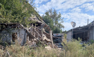 Росіяни вночі атакували БПЛА: куди влучили на Запоріжжі (ФОТО)