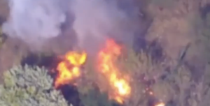 ЗСУ феєрично знищили танк і гармату росіян на Запоріжжі (ВІДЕО)