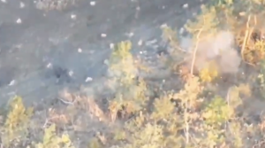 Дрони ЗСУ виявили укриття окупантів на Запоріжжі (ВІДЕО)