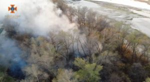 Під Запоріжжям відбулася масштабна пожежа: залучили майже 50 рятувальників (ФОТО)