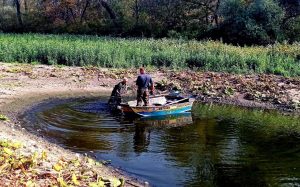 На Хортиці у пастці опинилося скупчення риби: карасів довелося “переселяти” (ФОТО)