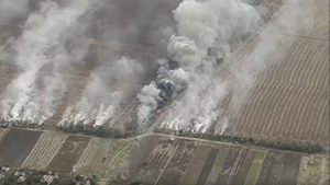 Відео дня: на Запорізькому напрямку артилерія “накрила” скупчення техніки і склад росіян (ВІДЕО)