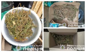 У прифронтовому Оріхові у пенсіонера вилучили майже кілограм канабісу (ФОТО)