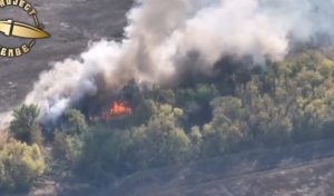 ЗСУ вистежили та накрили п’ять російських БМП в лісосмузі на Запоріжжі (ВІДЕО)