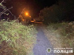У Запоріжжі рецидивісти нападали на жителів спального району (ФОТО)