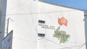 У Запоріжжі з’явилися два нові мурали (ФОТО)