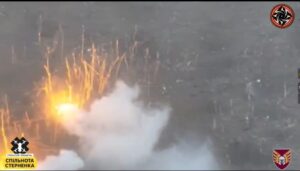 Як ураїнські десантники змусили бігти росіян з позицій біля Новопрокопівки на Запоріжжі (ВІДЕО)